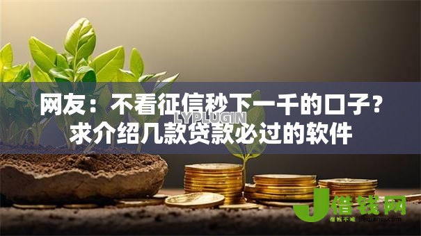网友：不看征信秒下一千的口子？求介绍几款贷款必过的软件
