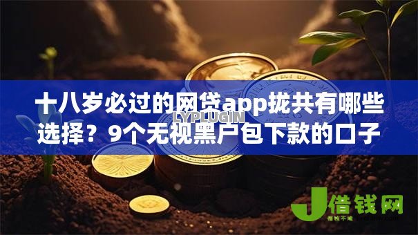 十八岁必过的网贷app拢共有哪些选择？9个无视黑户包下款的口子详解