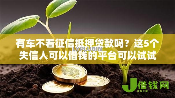 有车不看征信抵押贷款吗？这5个失信人可以借钱的平台可以试试
