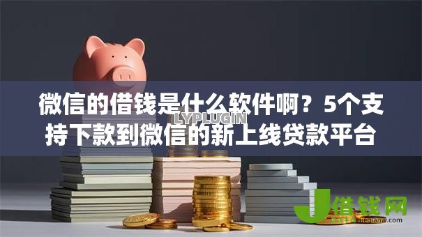 微信的借钱是什么软件啊？5个支持下款到微信的新上线贷款平台门槛低app