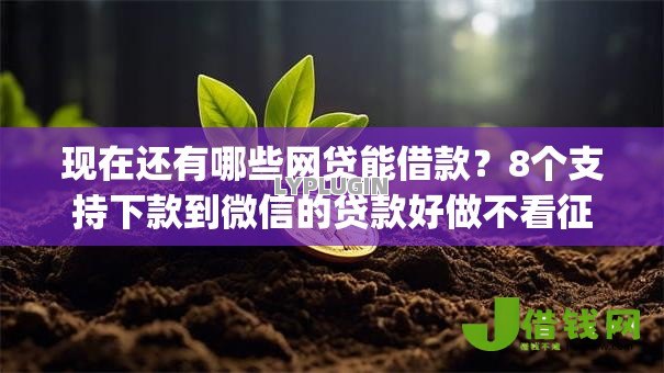 现在还有哪些网贷能借款?8个支持下款到微信的贷款好做不看征信的app 现在还有哪些网贷能借款?8个支持下款到微信的贷款好做不看征信的app