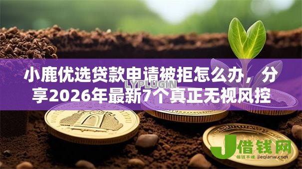 小鹿优选贷款申请被拒怎么办,分享2026年最新7个真正无视风控黑白的网贷 小鹿优选贷款申请被拒怎么办,分享2026年最新7个真正无视风控黑白的网贷