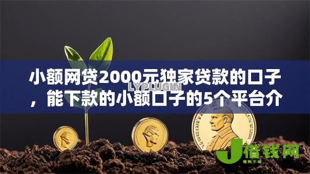 小额网贷2000元独家贷款的口子,能下款的小额口子的5个平台介绍 小额网贷2000元独家贷款的口子,能下款的小额口子的5个平台介绍