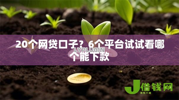 20个网贷口子？6个平台试试看哪个能下款