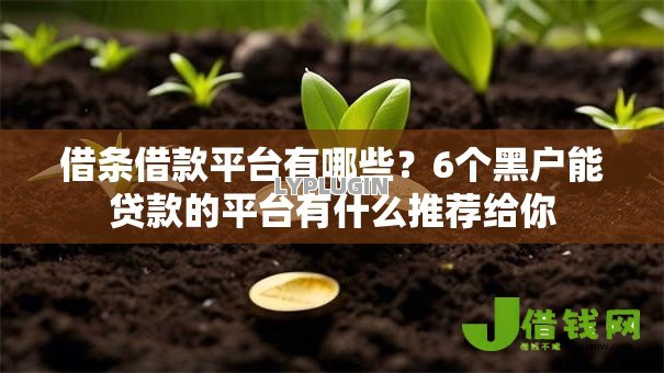 借条借款平台有哪些?6个黑户能贷款的平台有什么推荐给你 借条借款平台有哪些?6个黑户能贷款的平台有什么推荐给你