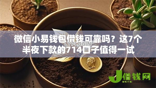 微信小易钱包借钱可靠吗？这7个半夜下款的714口子值得一试