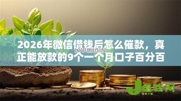 2026年微信借钱后怎么催款，真正能放款的9个一个月口子百分百下款的平台推荐