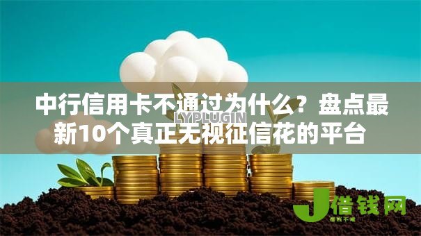 中行信用卡不通过为什么?盘点最新10个真正无视征信花的平台 中行信用卡不通过为什么?盘点最新10个真正无视征信花的平台