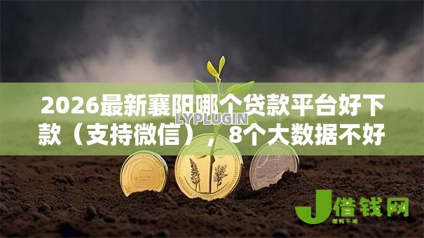 2026最新襄阳哪个贷款平台好下款(支持微信),8个大数据不好平台可以借钱无私分享 2026最新襄阳哪个贷款平台好下款(支持微信),8个大数据不好平台可以借钱无私分享