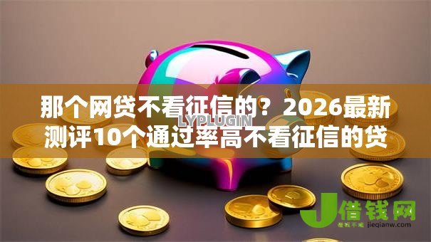 那个网贷不看征信的？2026最新测评10个通过率高不看征信的贷款平台
