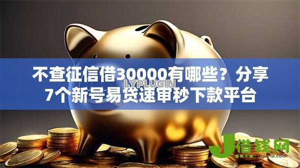 不查征信借30000有哪些？分享7个新号易贷速审秒下款平台