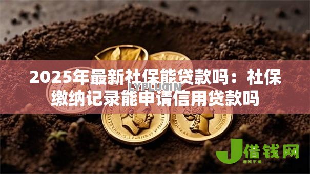 2025年最新社保能贷款吗：社保缴纳记录能申请信用贷款吗