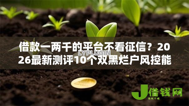借款一两千的平台不看征信？2026最新测评10个双黑烂户风控能下款5000口子