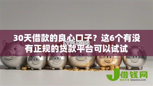 30天借款的良心口子？这6个有没有正规的贷款平台可以试试