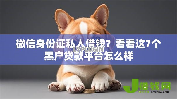 微信身份证私人借钱？看看这7个黑户贷款平台怎么样