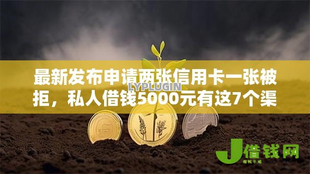 最新发布申请两张信用卡一张被拒,私人借钱5000元有这7个渠道 最新发布申请两张信用卡一张被拒,私人借钱5000元有这7个渠道