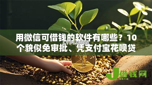 用微信可借钱的软件有哪些？10个貌似免审批、凭支付宝花呗贷款的软件合集