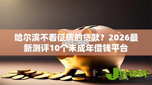 哈尔滨不看征信的贷款?2026最新测评10个未成年借钱平台 哈尔滨不看征信的贷款?2026最新测评10个未成年借钱平台
