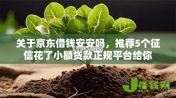 关于京东借钱安安吗，推荐5个征信花了小额贷款正规平台给你