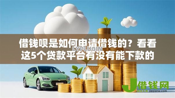 借钱呗是如何申请借钱的？看看这5个贷款平台有没有能下款的