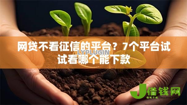 网贷不看征信的平台？7个平台试试看哪个能下款