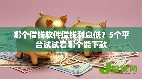 哪个借钱软件借钱利息低？5个平台试试看哪个能下款