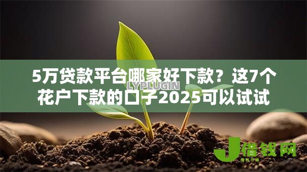 5万贷款平台哪家好下款？这7个花户下款的口子2025可以试试