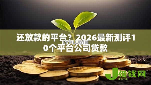 还放款的平台?2026最新测评10个平台公司贷款 还放款的平台?2026最新测评10个平台公司贷款