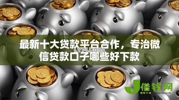 最新十大贷款平台合作,专治微信贷款口子哪些好下款 最新十大贷款平台合作,专治微信贷款口子哪些好下款