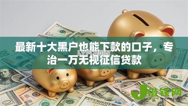 最新十大黑户也能下款的口子,专治一万无视征信贷款 最新十大黑户也能下款的口子,专治一万无视征信贷款