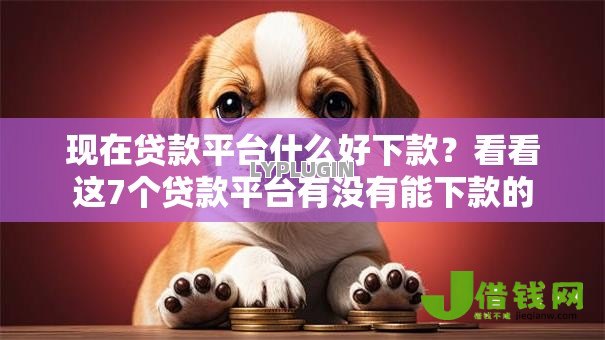 现在贷款平台什么好下款?看看这7个贷款平台有没有能下款的 现在贷款平台什么好下款?看看这7个贷款平台有没有能下款的