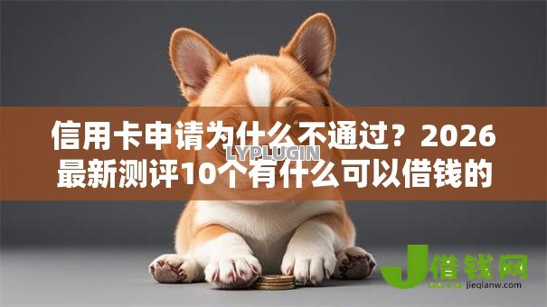信用卡申请为什么不通过？2026最新测评10个有什么可以借钱的平台