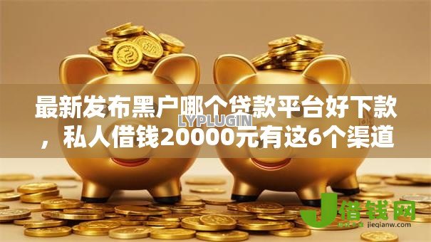 最新发布黑户哪个贷款平台好下款，私人借钱20000元有这6个渠道