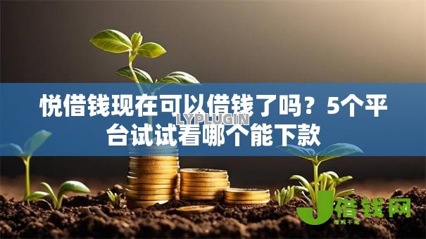 悦借钱现在可以借钱了吗?5个平台试试看哪个能下款 悦借钱现在可以借钱了吗?5个平台试试看哪个能下款