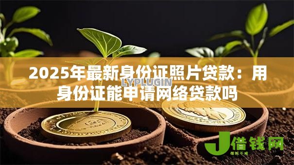 2025年最新身份证照片贷款：用身份证能申请网络贷款吗