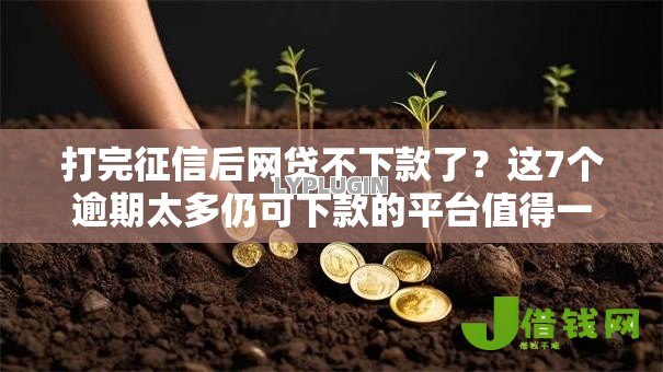 打完征信后网贷不下款了?这7个逾期太多仍可下款的平台值得一试 打完征信后网贷不下款了?这7个逾期太多仍可下款的平台值得一试