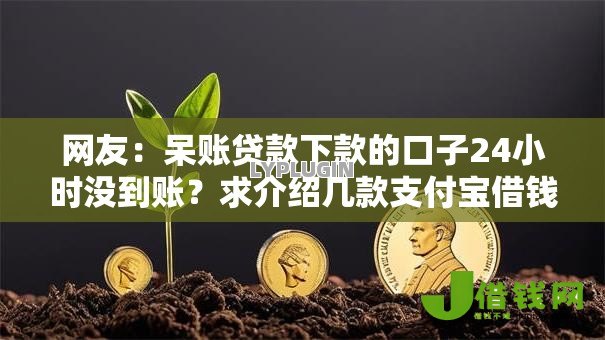 网友：呆账贷款下款的口子24小时没到账？求介绍几款支付宝借钱平台