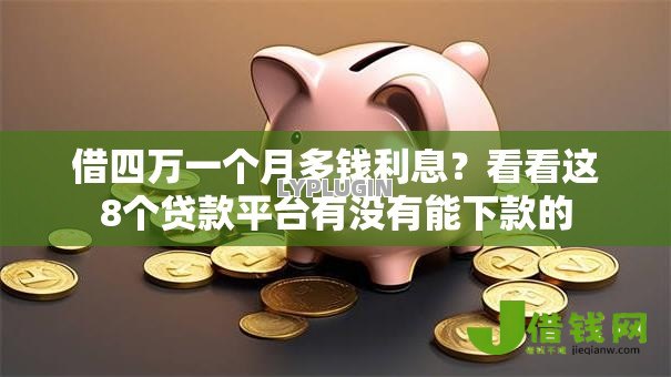 借四万一个月多钱利息?看看这8个贷款平台有没有能下款的 借四万一个月多钱利息?看看这8个贷款平台有没有能下款的