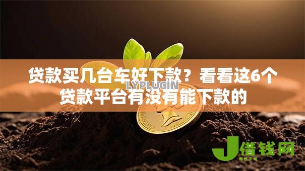 贷款买几台车好下款？看看这6个贷款平台有没有能下款的