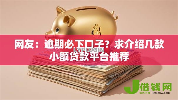 网友：逾期必下口子？求介绍几款小额贷款平台推荐