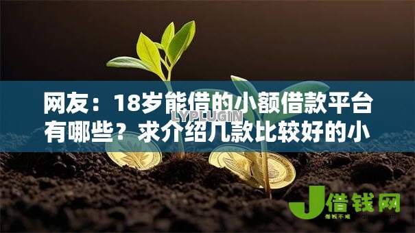 网友:18岁能借的小额借款平台有哪些?求介绍几款比较好的小额贷款软件 网友:18岁能借的小额借款平台有哪些?求介绍几款比较好的小额贷款软件