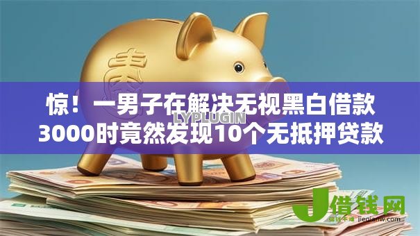 惊！一男子在解决无视黑白借款3000时竟然发现10个无抵押贷款平台，事后分享了出来