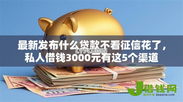 最新发布什么贷款不看征信花了，私人借钱3000元有这5个渠道