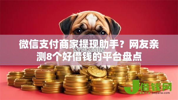 微信支付商家提现助手？网友亲测8个好借钱的平台盘点