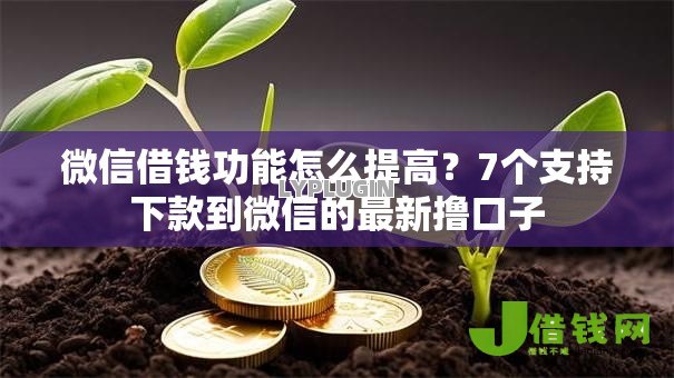 微信借钱功能怎么提高？7个支持下款到微信的最新撸口子