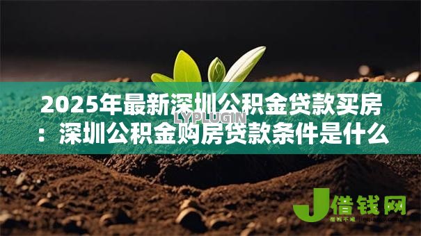 2025年最新深圳公积金贷款买房：深圳公积金购房贷款条件是什么