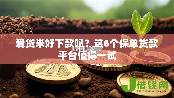 爱贷米好下款吗?这6个保单贷款平台值得一试 爱贷米好下款吗?这6个保单贷款平台值得一试