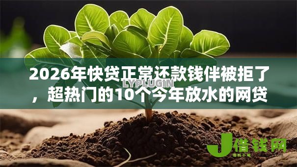 2026年快贷正常还款钱伴被拒了，超热门的10个今年放水的网贷口子推荐