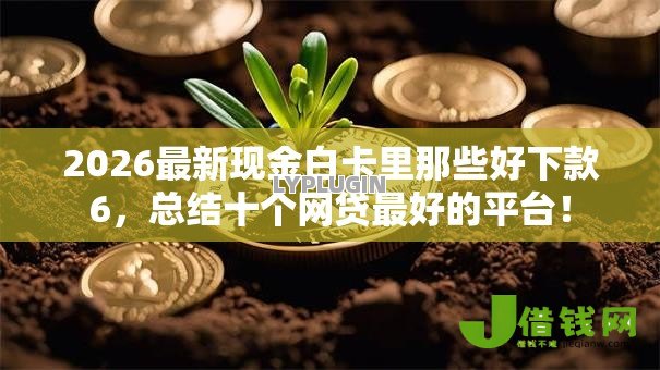 2026最新现金白卡里那些好下款6，总结十个网贷最好的平台！