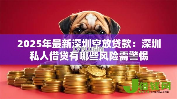 2025年最新深圳空放贷款：深圳私人借贷有哪些风险需警惕